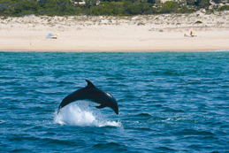 Lissabon – Stadtabenteuer